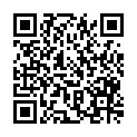 QR code zu den Gipfel  Stavel