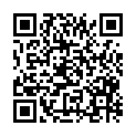 QR code zu den Gipfel  Palfelkopf