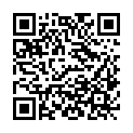 QR code zu den Gipfel  Videmski hrib