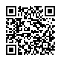 QR code zu den Gipfel  Vileidspitze