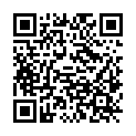 QR code zu den Gipfel  Pleiskopf