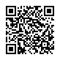 QR code zu den Gipfel  Schnapfenlochspitze
