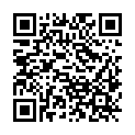 QR code zu den Gipfel Plattjoch