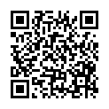 QR code zu den Gipfel  Holzer Kogel
