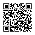 QR code zu den Gipfel  Punta Castello