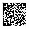 QR code zu den Gipfel  Burgstein