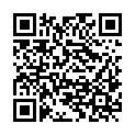 QR code zu den Gipfel Saldeiner Spitze