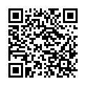 QR code zu den Gipfel  Vinji vrh