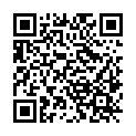 QR code zu den Gipfel  Pleschitz