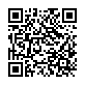 QR code zu den Gipfel  Schneestock