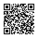 QR code zu den Gipfel  Burgstall