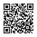 QR code zu den Gipfel  Videmski hrib