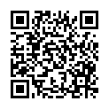 QR code zu den Gipfel  Holzflue