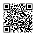 QR code zu den Gipfel  Punta Lunelle