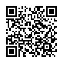 QR code zu den Gipfel  Planauerkogel