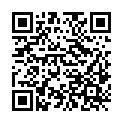 QR code zu den Gipfel  Lueglespitz