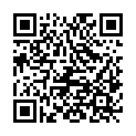 QR code zu den Gipfel  Pizzo di Leur