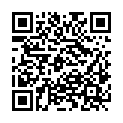 QR code zu den Gipfel  Wildebnerspitze