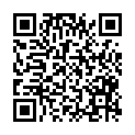 QR code zu den Gipfel  Bielerspitze