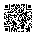 QR code zu den Gipfel  Pizzo Gerlo
