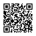 QR code zu den Gipfel  Wildpalfen