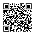 QR code zu den Gipfel  Wildes Mannle
