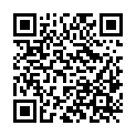 QR code zu den Gipfel  Pleisspitze