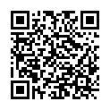 QR code zu den Gipfel  Stollen