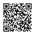 QR code zu den Gipfel  Wildstein