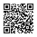 QR code zu den Gipfel  Punta Venezia