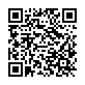 QR code zu den Gipfel  Burgstall