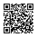 QR code zu den Gipfel  Stelzener Berg
