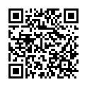 QR code zu den Gipfel  Bilskuppe