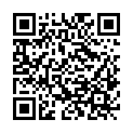 QR code zu den Gipfel Pleisenspitze