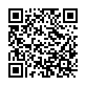 QR code zu den Gipfel Lüssen