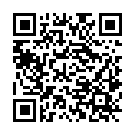 QR code zu den Gipfel  Wildstein