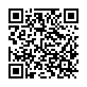 QR code zu den Gipfel  Lavinores
