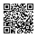 QR code zu den Gipfel  Plattenspitze