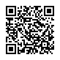 QR code zu den Gipfel  Südliches Wysshorn