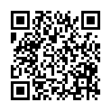 QR code zu den Gipfel  Pleresspitze