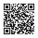 QR code zu den Gipfel  Disnerhöhe