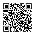 QR code zu den Gipfel  Veslbreatinden