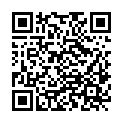 QR code zu den Gipfel  Stølsnostinden