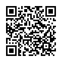 QR code zu den Gipfel  Steindalsnosi