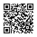 QR code zu den Gipfel  Stetinden