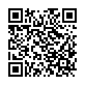 QR code zu den Gipfel  Storbreahø