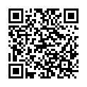 QR code zu den Gipfel  Bricnik