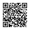 QR code zu den Gipfel  Schaufelspitze