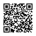 QR code zu den Gipfel Bessetindan