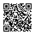 QR code zu den Gipfel  Reinsfjellet